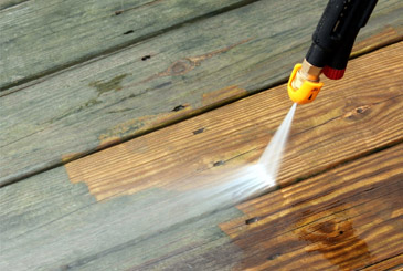 free pressure washing business forms